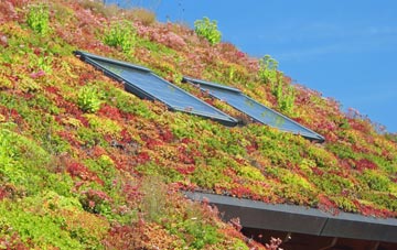 Normanton Turville living roof systems